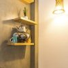 Pantry Cupboard - (PC 178-20) - Image 7